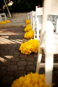 Allée centrale Décoration de la cérémonie d'enterrement laïque funérailles Phoenix lazuli Diane Carrié Officiante de cérémonie laïque funérailles enterrement unique à votre image la rochelle nantes bordeaux